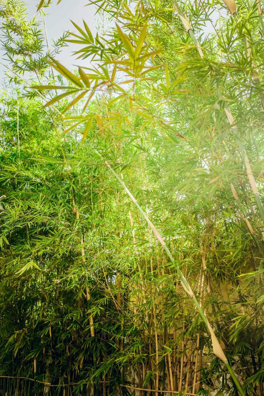 Chau Plus Homestay Hoi An Bagian luar foto