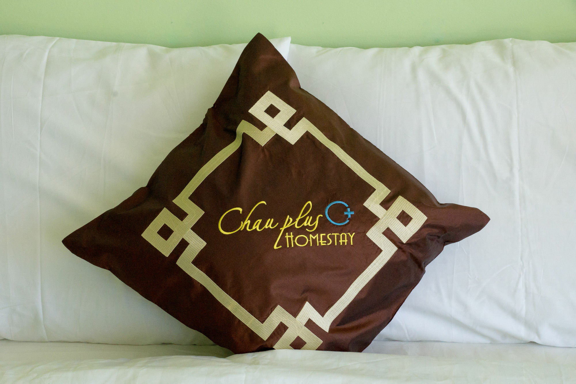 Chau Plus Homestay Hoi An Bagian luar foto